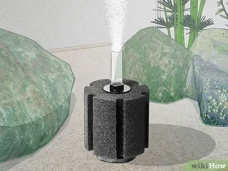 Породный дискус Шаг 11