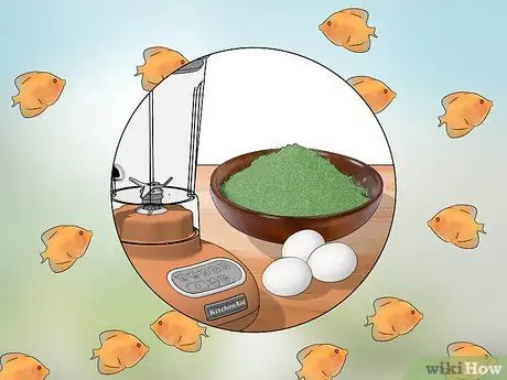 Породный дискус Шаг 19