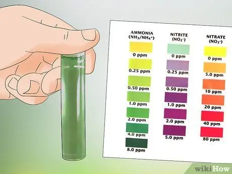 Породный дискус Шаг 3