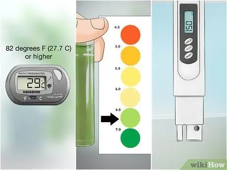 Породный дискус Шаг 4