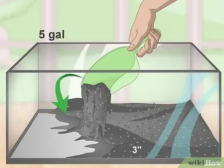 Порода павлиньих песков Шаг 1