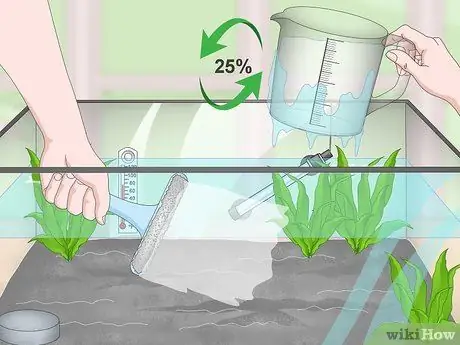 Порода павлиньих песков Шаг 15