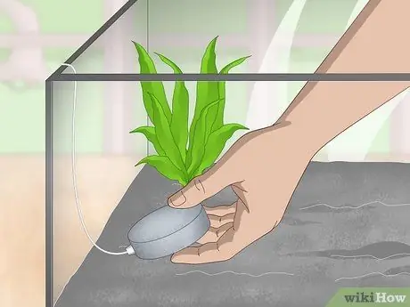 Порода павлиньих песков Шаг 3