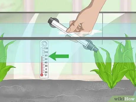 Порода павлиньих песков Шаг 5