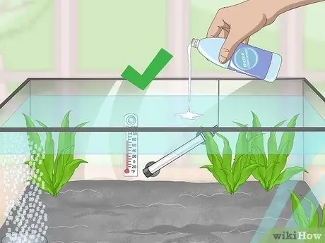 Порода павлиньих песков Шаг 7