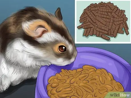 Уход за хомяком при небольшом бюджете Шаг 4