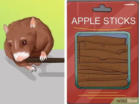 Уход за хомяком при небольшом бюджете Шаг 7