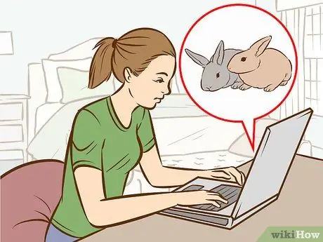 Убедите родителей позволить вам купить кролика Шаг 1