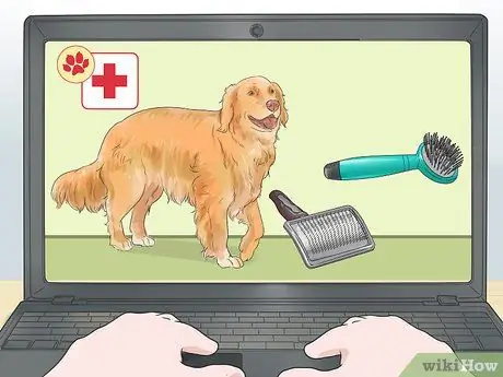 Убедите родителей купить вам вторую собаку Шаг 2