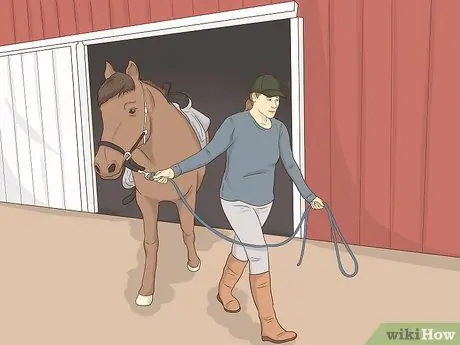 Убедите родителей подарить вам лошадь Шаг 2