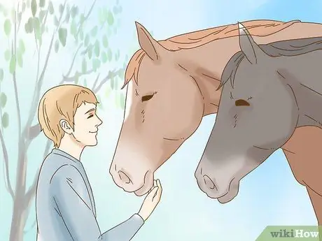 Убедите родителей позволить вам купить лошадь Шаг 13