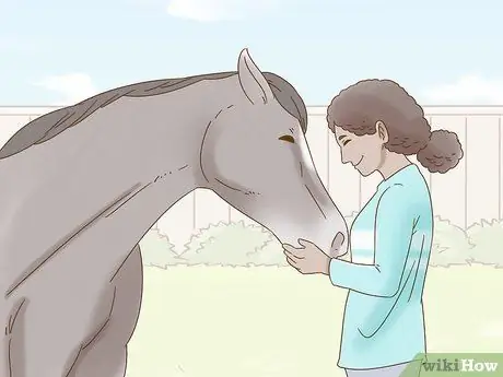 Убедите родителей позволить вам купить лошадь Шаг 18