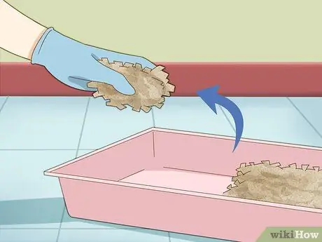 Искупайте хомяка, шаг 2