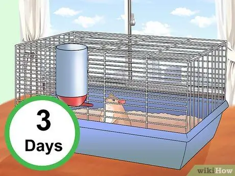 Приручите своего хомяка, шаг 1