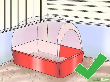 Приручите своего хомяка, шаг 10