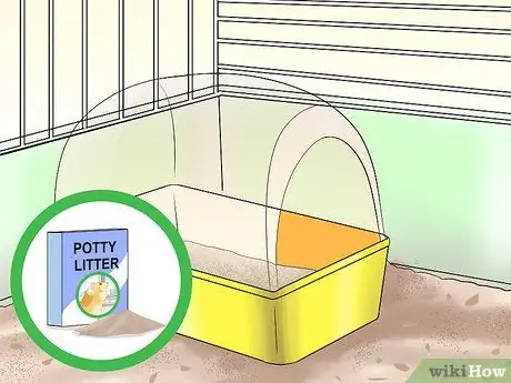 Приручите своего хомяка, шаг 11