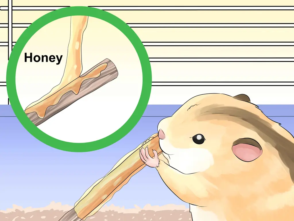 Как приручить хомяка (с иллюстрациями)