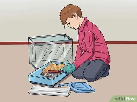 Очистите клетку для хомяка Шаг 12