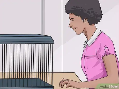 Заставить карликовых хомяков перестать кусать клетку Шаг 4