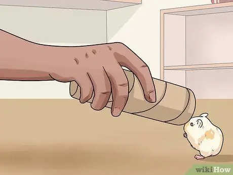 Заставить карликовых хомяков перестать кусать клетку Шаг 7