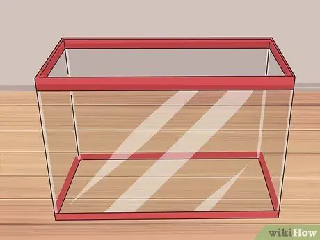 Заставить карликовых хомяков перестать кусать клетку Шаг 9