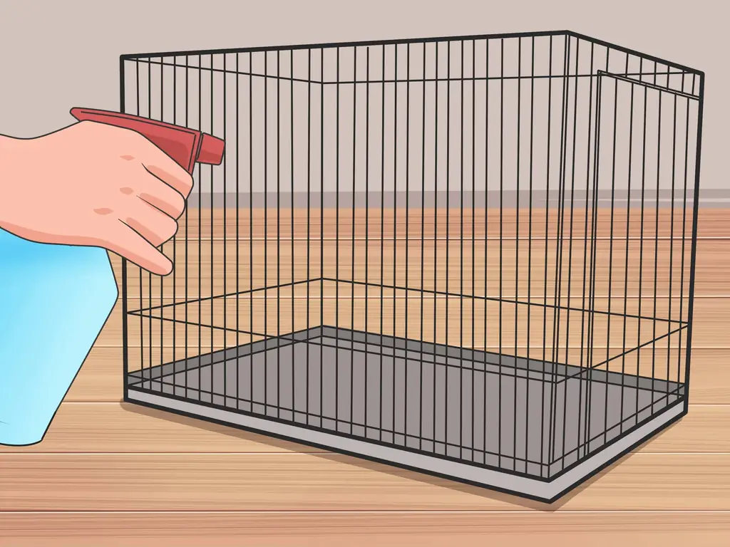 3 способа заставить карликовых хомяков перестать кусать клетку