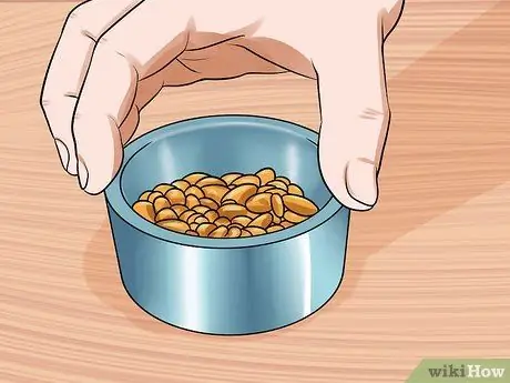 Узнайте, когда отделять хомяков, шаг 4