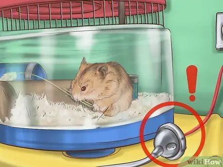 Создайте связь со своим хомяком Шаг 11