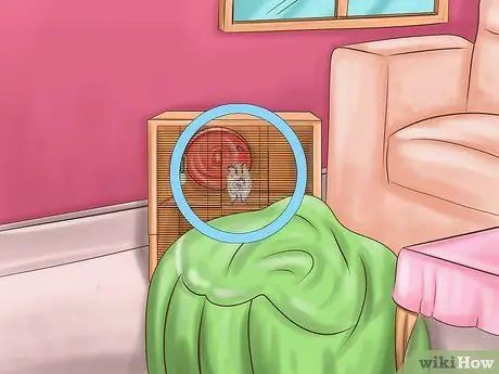 Создайте связь со своим хомяком Шаг 3