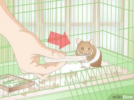 Сделайте жевательные палочки для хомяка Шаг 11