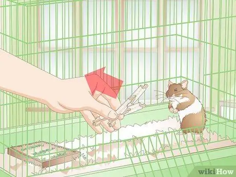 Сделайте жевательные палочки для хомяка Шаг 12