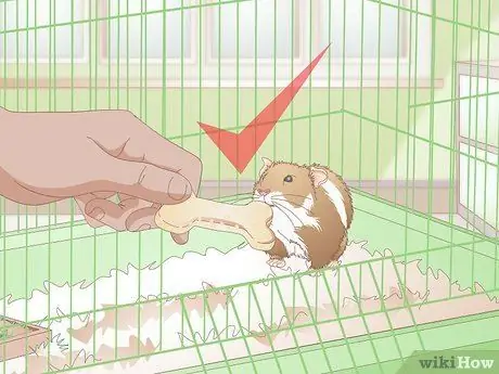 Сделайте жевательные палочки для хомяка Шаг 14