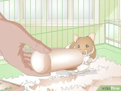 Сделайте жевательные палочки для хомяка Шаг 15