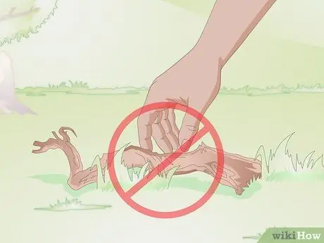 Сделайте жевательные палочки для хомяка, шаг 2