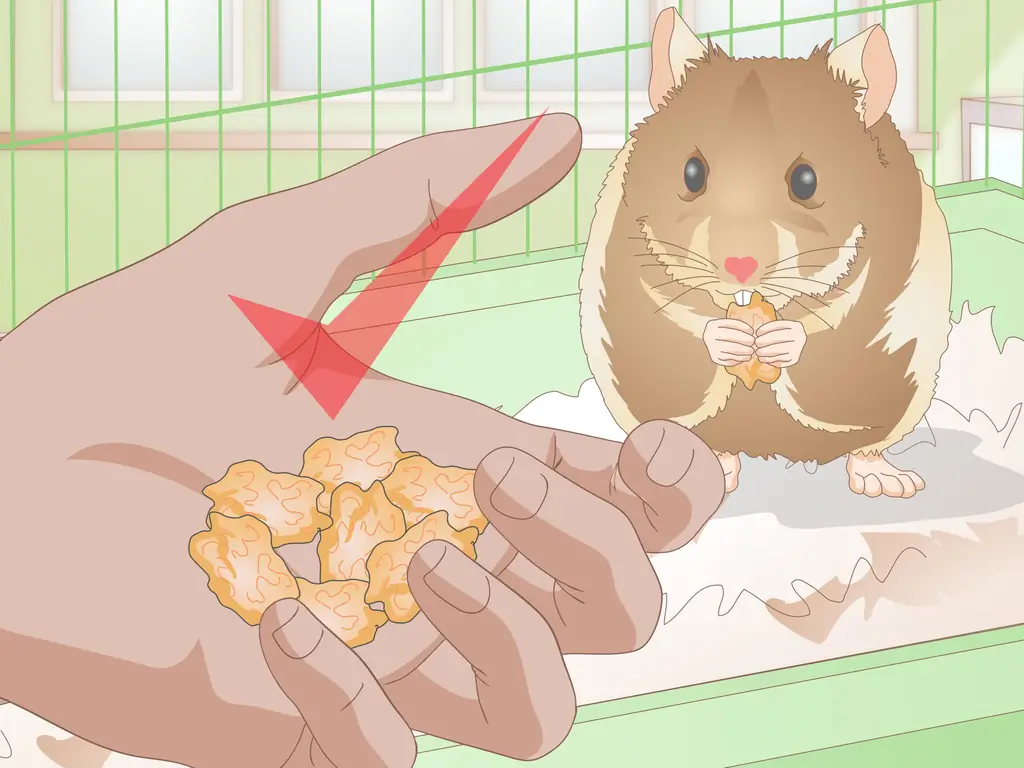 Как сделать жевательные палочки для хомяка (с рисунками)