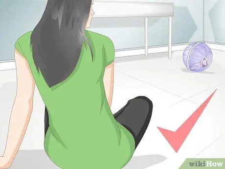 Используйте мяч для хомяка. Шаг 17