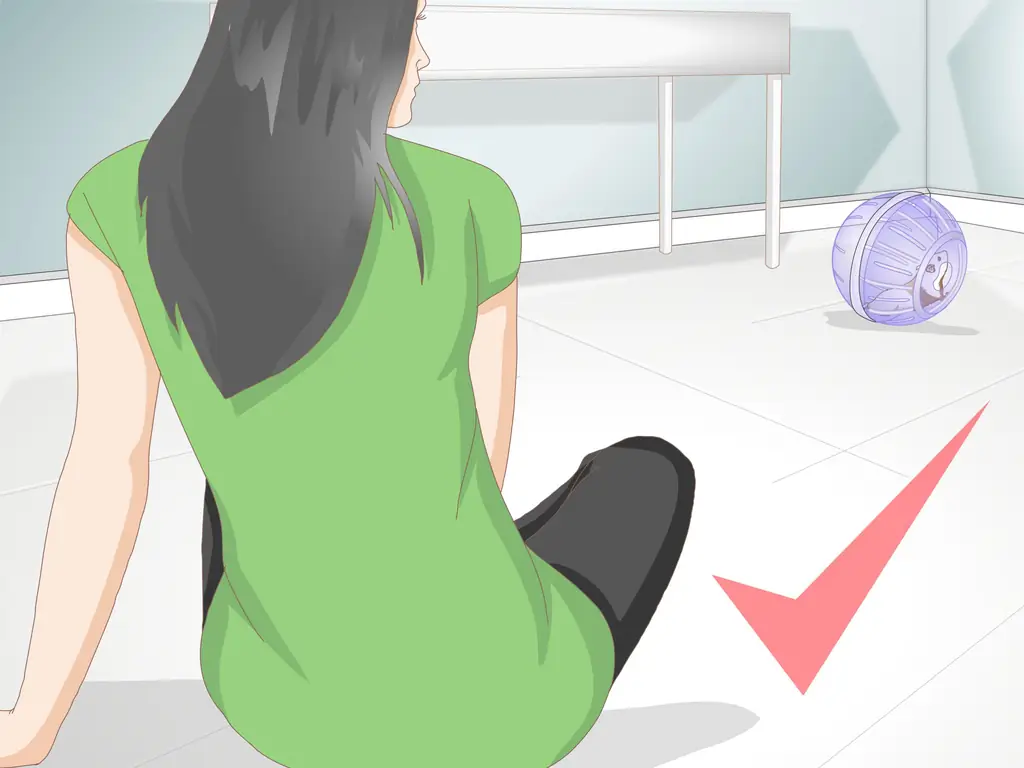 Как использовать мяч для хомяка (с иллюстрациями)