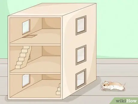 Нести хомяка Шаг 1