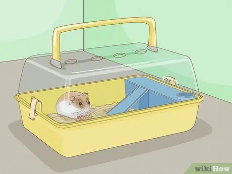 Нести хомяка Шаг 11