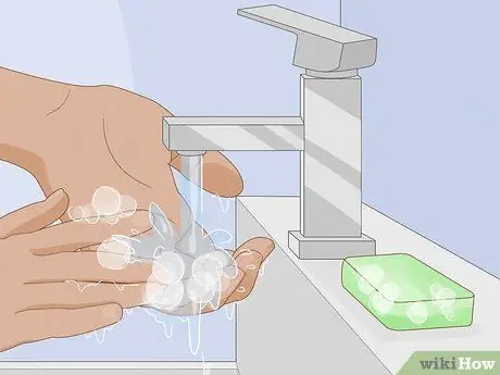 Нести хомяка Шаг 5