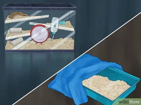 Заведите хомяка и собаку Шаг 1