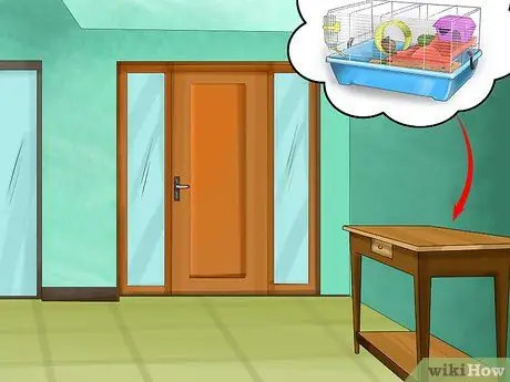 Предотвращение и лечение теплового стресса у хомяков Шаг 4