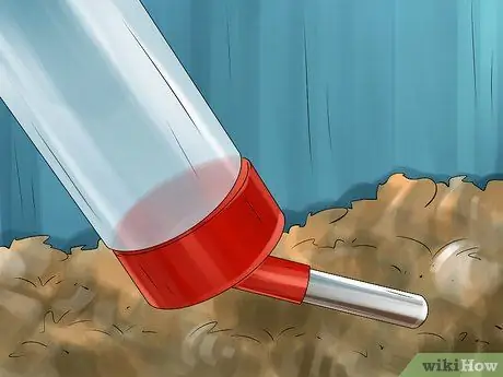 Принять или купить хомяка Шаг 19