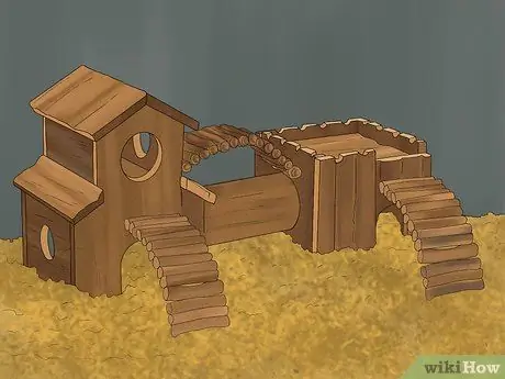 Выберите убежище для своего хомяка Шаг 9