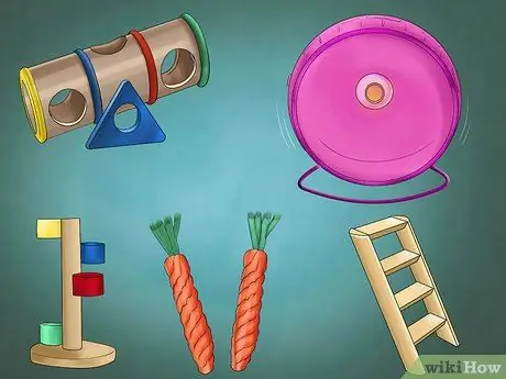 Заведите хомяка и собаку Шаг 5