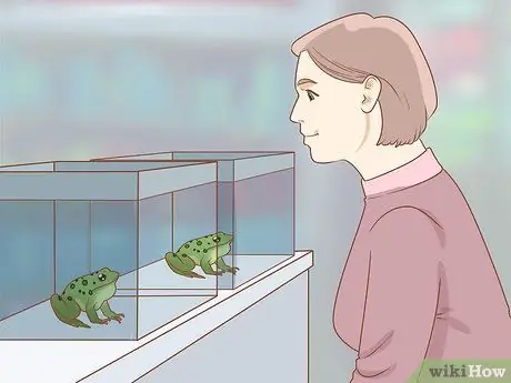 Уход за зелеными древесными лягушками Шаг 1