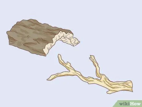 Уход за зелеными древесными лягушками Шаг 10