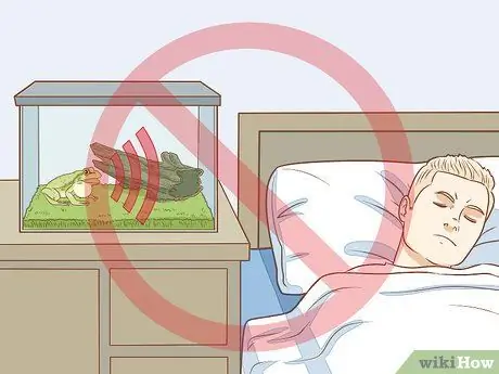 Уход за зелеными древесными лягушками Шаг 15