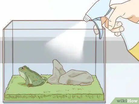 Уход за зелеными древесными лягушками Шаг 16