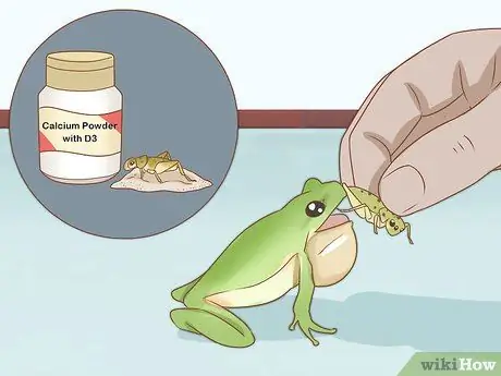 Уход за зелеными древесными лягушками Шаг 19